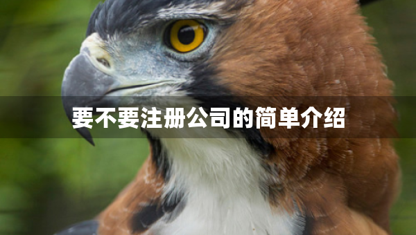 要不要注册公司的简单介绍