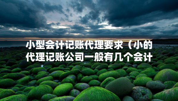 小型会计记账代理要求（小的代理记账公司一般有几个会计）