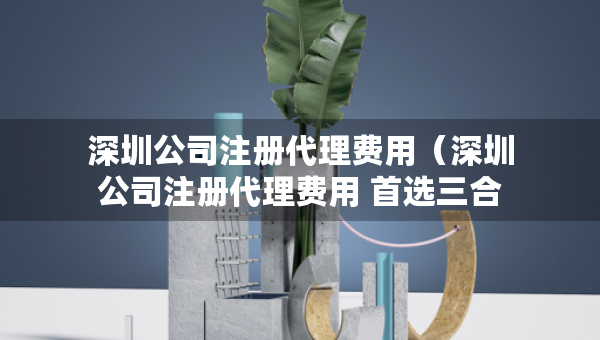 深圳公司注册代理费用（深圳公司注册代理费用 首选三合一企服）