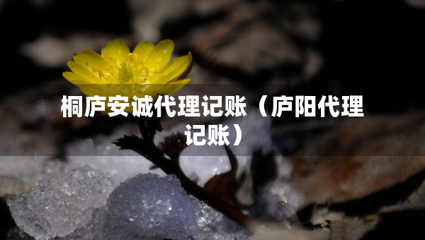 桐庐安诚代理记账（庐阳代理记账）