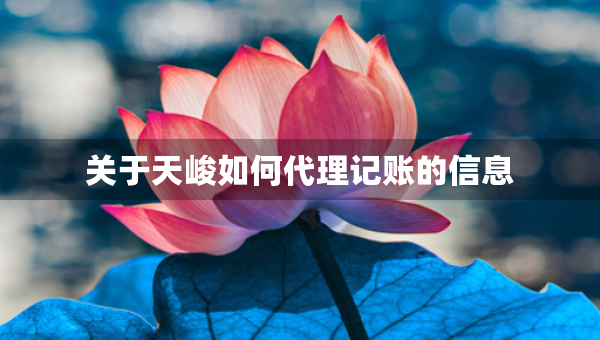 关于天峻如何代理记账的信息