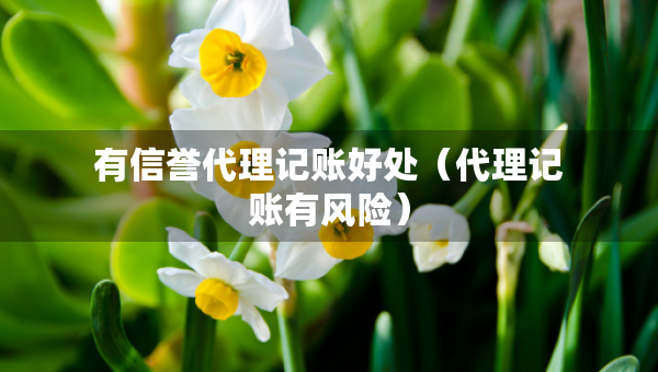 有信誉代理记账好处（代理记账有风险）
