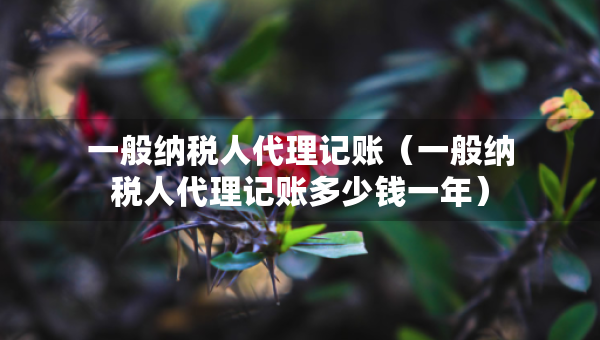 一般纳税人代理记账（一般纳税人代理记账多少钱一年）