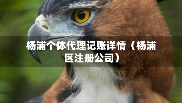 杨浦个体代理记账详情（杨浦区注册公司）