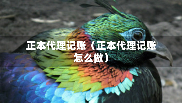 正本代理记账（正本代理记账怎么做）