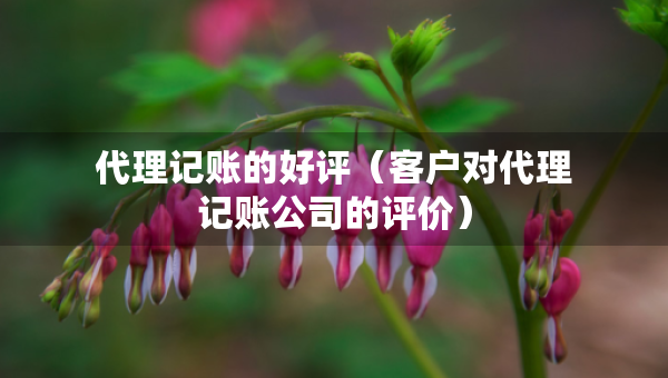 代理记账的好评（客户对代理记账公司的评价）
