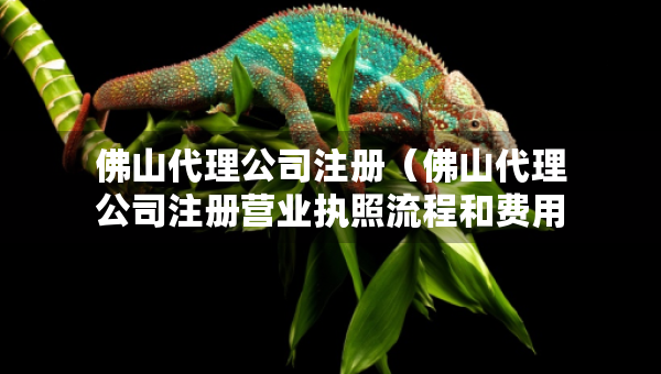 佛山代理公司注册（佛山代理公司注册营业执照流程和费用）