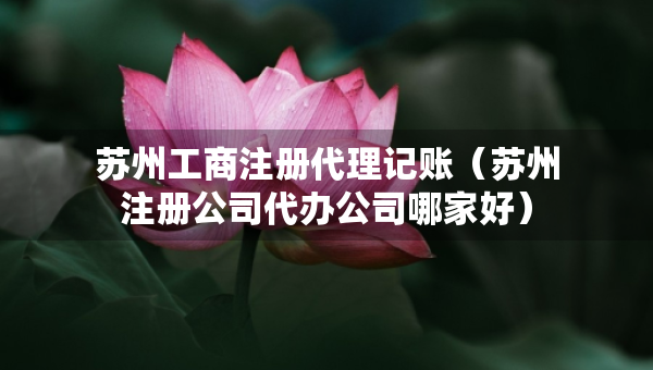 苏州工商注册代理记账（苏州注册公司代办公司哪家好）