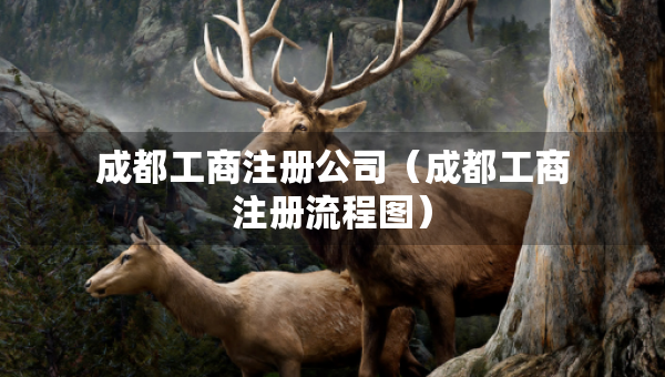 成都工商注册公司（成都工商注册流程图）