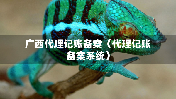 广西代理记账备案（代理记账备案系统）
