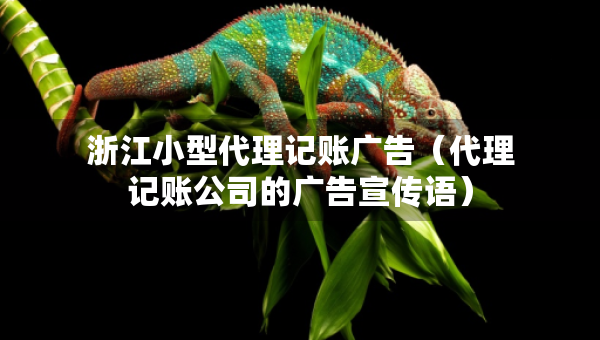 浙江小型代理记账广告（代理记账公司的广告宣传语）