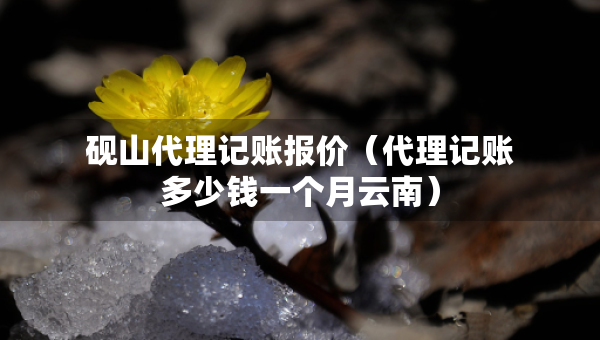 砚山代理记账报价（代理记账多少钱一个月云南）