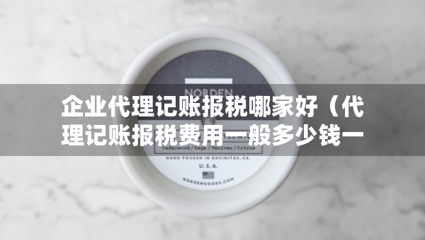 企业代理记账报税哪家好（代理记账报税费用一般多少钱一个月）