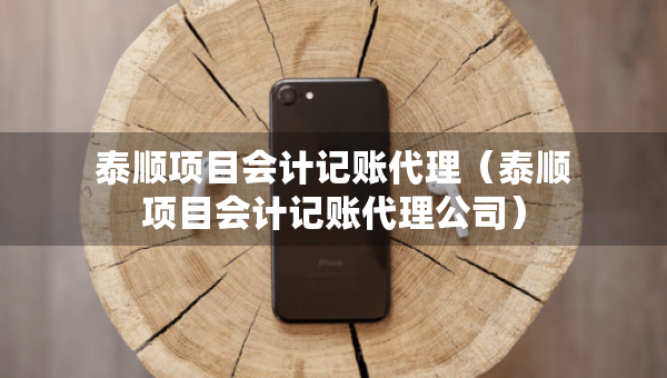泰顺项目会计记账代理（泰顺项目会计记账代理公司）