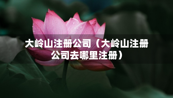 大岭山注册公司（大岭山注册公司去哪里注册）