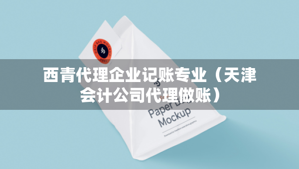 西青代理企业记账专业（天津会计公司代理做账）