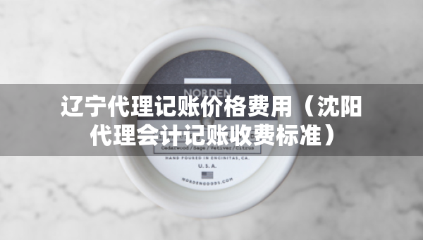 辽宁代理记账价格费用（沈阳代理会计记账收费标准）