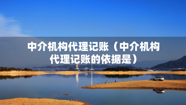 中介机构代理记账（中介机构代理记账的依据是）