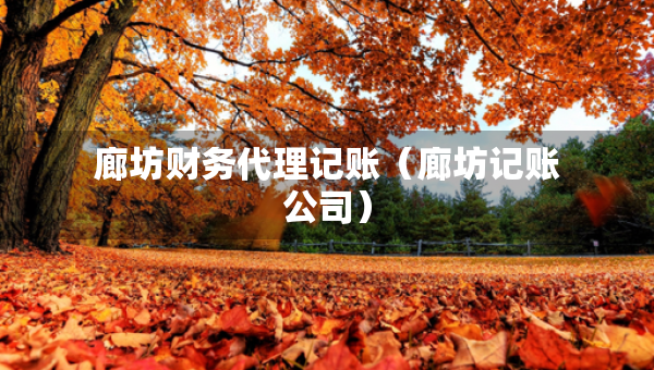 廊坊财务代理记账（廊坊记账公司）