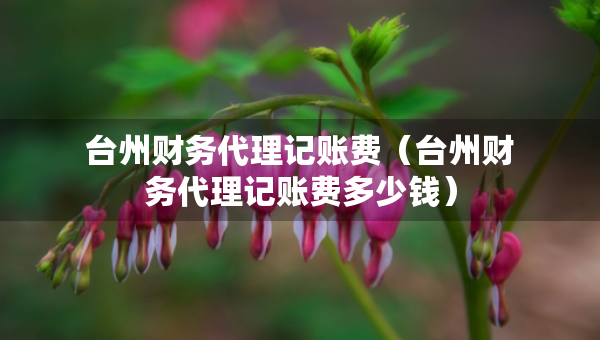台州财务代理记账费（台州财务代理记账费多少钱）