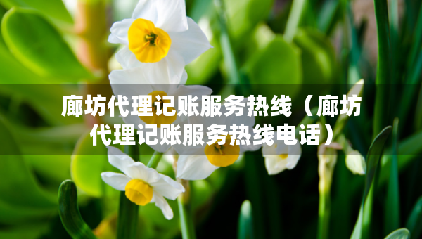 廊坊代理记账服务热线（廊坊代理记账服务热线电话）