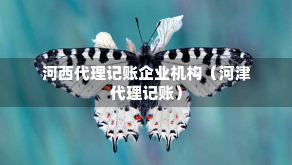 河西代理记账企业机构（河津代理记账）