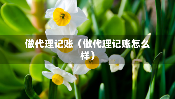 做代理记账（做代理记账怎么样）