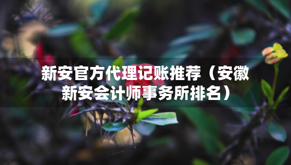 新安官方代理记账推荐（安徽新安会计师事务所排名）