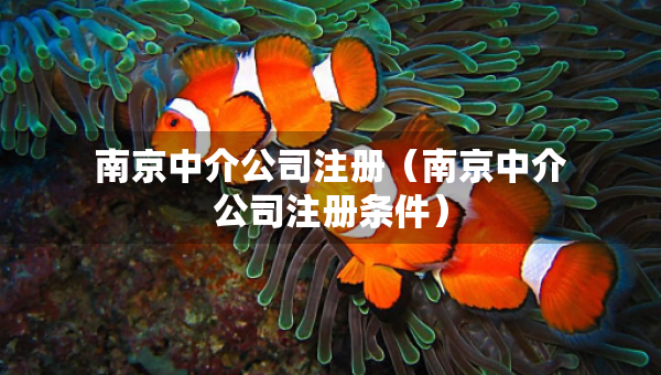 南京中介公司注册（南京中介公司注册条件）