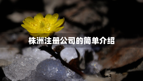株洲注册公司的简单介绍
