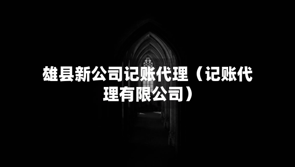 雄县新公司记账代理（记账代理有限公司）