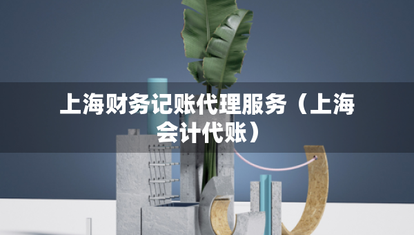上海财务记账代理服务（上海会计代账）