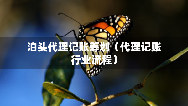 泊头代理记账筹划（代理记账行业流程）