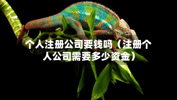 个人注册公司要钱吗（注册个人公司需要多少资金）