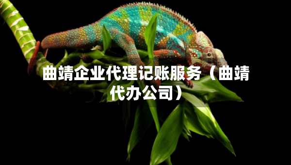 曲靖企业代理记账服务（曲靖代办公司）