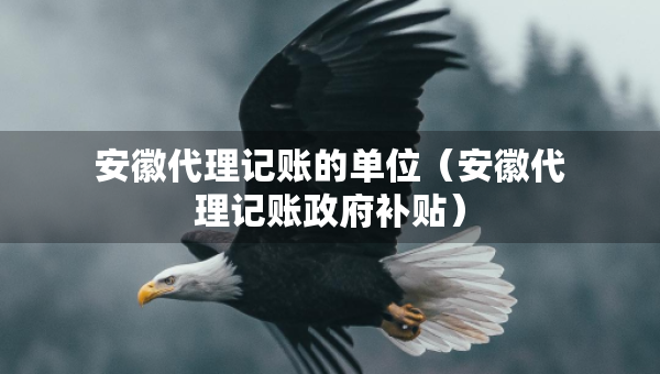 安徽代理记账的单位（安徽代理记账政府补贴）