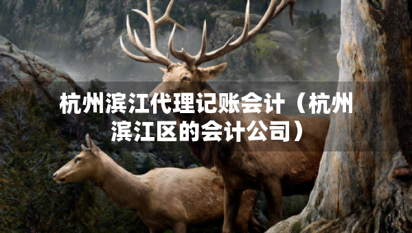 杭州滨江代理记账会计（杭州滨江区的会计公司）