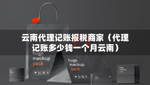 云南代理记账报税商家（代理记账多少钱一个月云南）