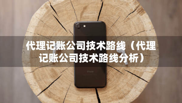 代理记账公司技术路线（代理记账公司技术路线分析）