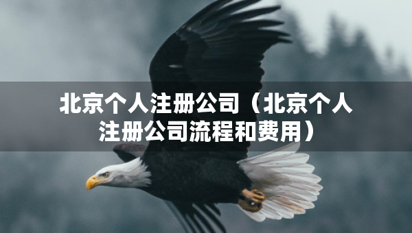 北京个人注册公司（北京个人注册公司流程和费用）
