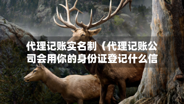 代理记账实名制（代理记账公司会用你的身份证登记什么信息）