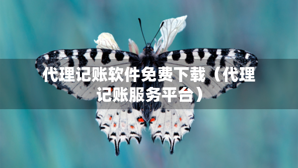 代理记账软件免费下载（代理记账服务平台）