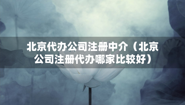 北京代办公司注册中介（北京公司注册代办哪家比较好）