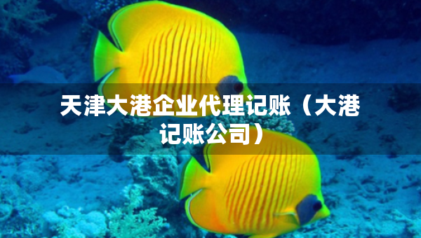 天津大港企业代理记账（大港记账公司）