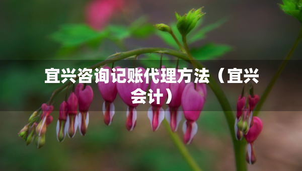 宜兴咨询记账代理方法(宜兴会计) 宜兴咨询记账代理方法(宜兴会计)