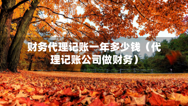 财务代理记账一年多少钱（代理记账公司做财务）