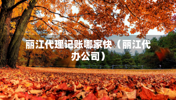 丽江代理记账哪家快(丽江代办公司) 丽江代理记账哪家快(丽江代办公司)