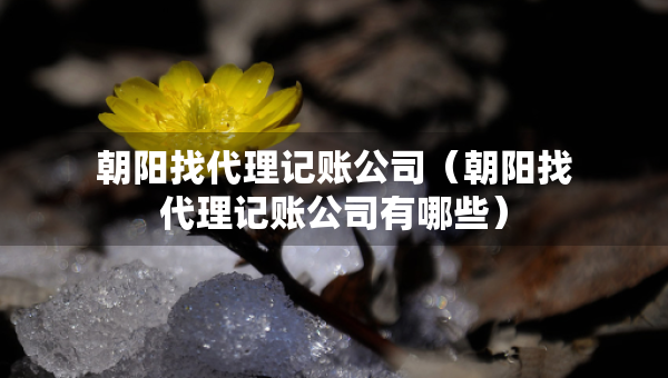 朝阳找代理记账公司（朝阳找代理记账公司有哪些）