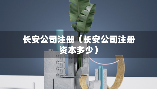 长安公司注册（长安公司注册资本多少）