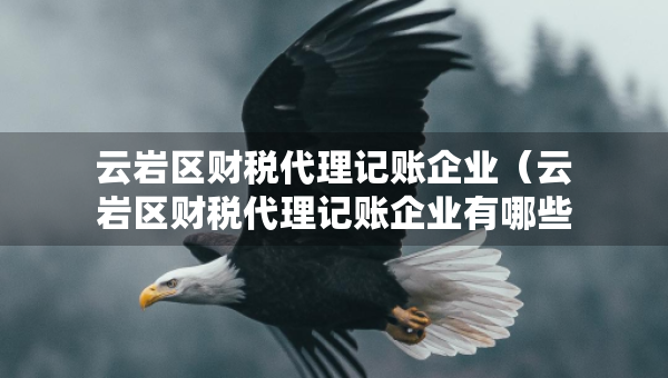 云岩区财税代理记账企业（云岩区财税代理记账企业有哪些）